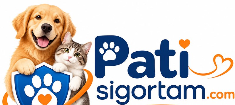 Patisigortam logosu